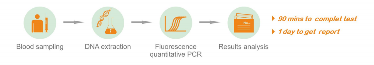 Human CYP2C19 Gene Detection Kit – www.yzymed.cn